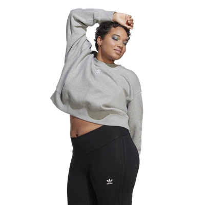 Shop Adidas Originals Womens  Plus Size Adicolor Essentials Crew Sweatshirt In Medium Grey Heather