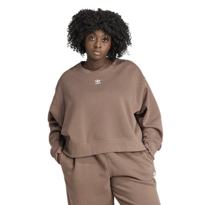 Shop Adidas Originals Womens  Plus Size Adicolor Essentials Crew Sweatshirt In Earth Strata