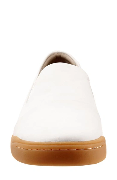 Shop Softwalk ® Alexandria Sneaker In White Leather
