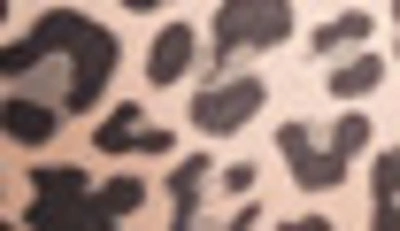 Felina Gorgeous Contour Bra In Natural Cheetah