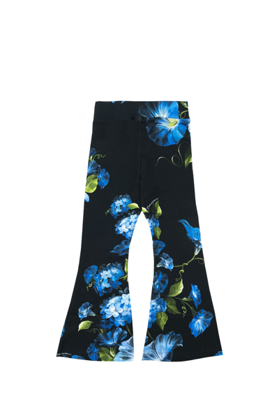 Shop Dolce & Gabbana Pants With Flower Print In Multicolor