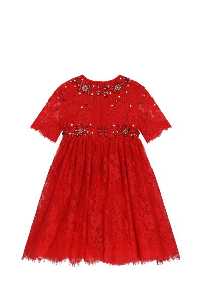 Shop Dolce & Gabbana Dress In Chantilly Lace And Stones In Red