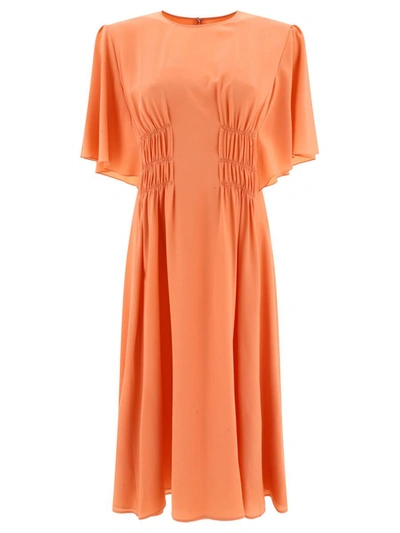 Shop Chloé Wing-sleeve Flared Dress In Pink