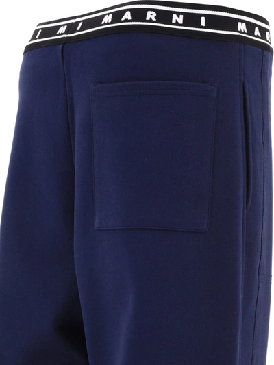 Shop Marni Sport Trousers With Logo In Blue