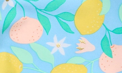 Snapper Rock Lemon Drops Wide Frill Swimsuit In Blue Multi