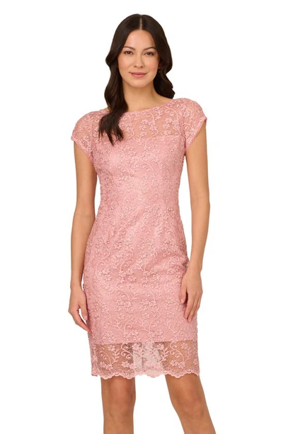 Shop Adrianna Papell Lace Sheath Dress In Blush