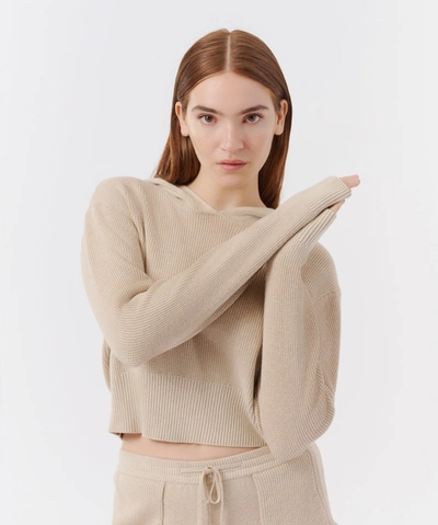Shop Atm Anthony Thomas Melillo Cotton Cashmere Long Sleeve Hoodie In Soft Fawn