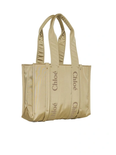 Shop Chloé Chloè Bags In Hot Sand