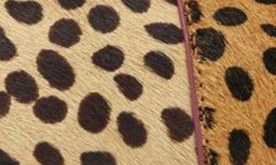 Shop Birdies Goldfinch Pointed Toe Ballet Flat In Mini Cheetah Tipped Calf Hair