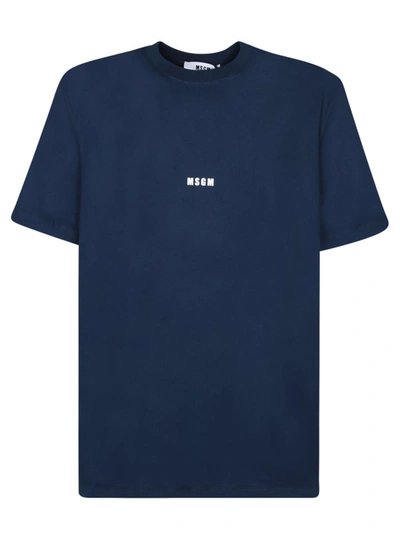 Shop Msgm T-shirts In Blue