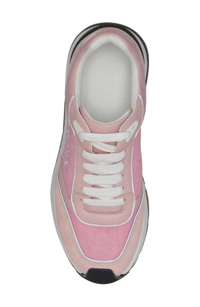 Shop Versace Logo Jacquard Low Top Sneaker In Pink/ White