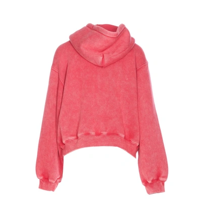 Shop Alexander Wang Sweaters In Fuchsia