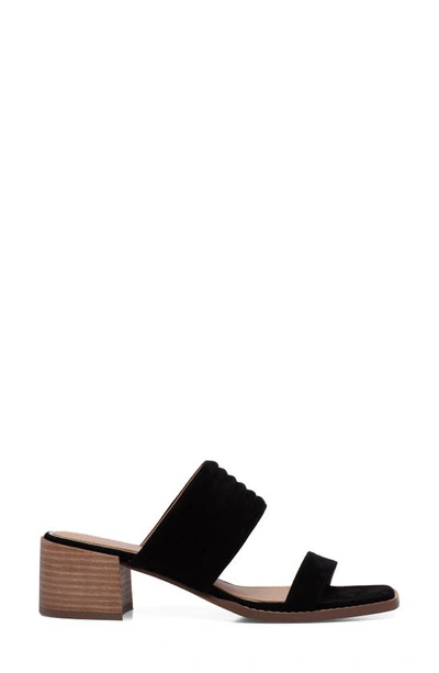 Linea Paolo Ida Slide Sandal In Black Suede