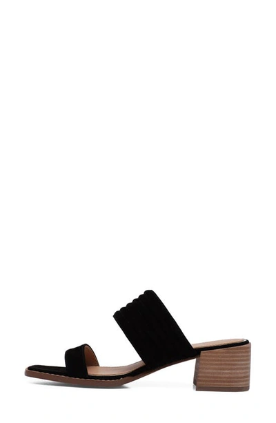 Linea Paolo Ida Slide Sandal In Black Suede