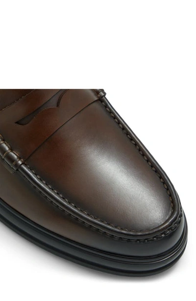 Shop Aldo Tucker Penny Loafer In Other Brown