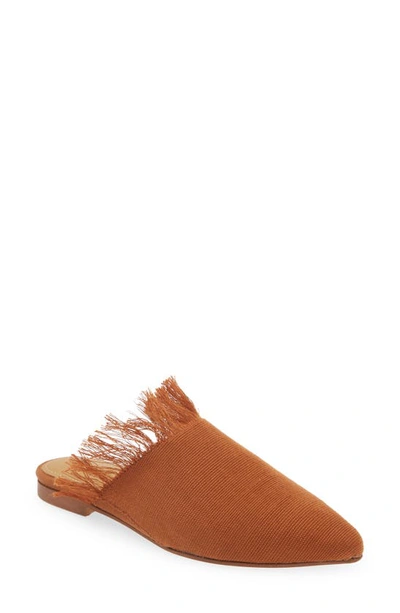 Shop Shekudo Lokossa Frayed Pointed Toe Mule In Burnt Orange