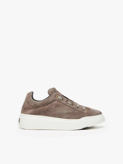 Shop Max Mara Suede Sneakers In Turtledove Grey