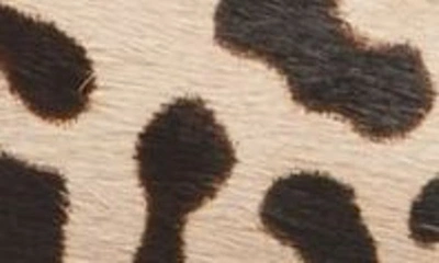 Shop Linea Paolo Athea Genuine Calf Hair Pointed Toe Mule In Leopard Print Calf Hair