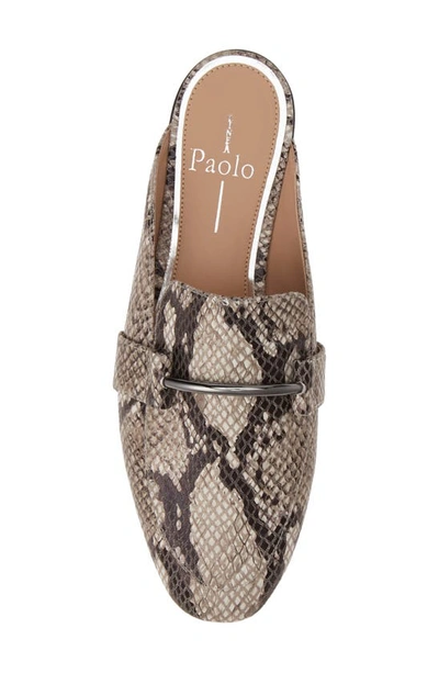 Shop Linea Paolo Annette Loafer Mule In Black White Snake Print