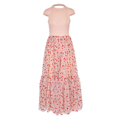 Shop Lily Was Here Captivating Dress With A Tulle Bottom With Flocked Dots