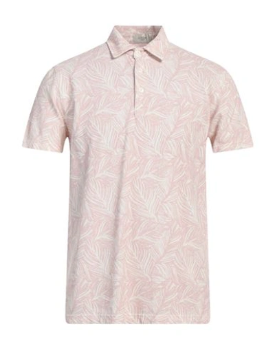 Shop Altea Man Polo Shirt Blush Size M Cotton In Pink