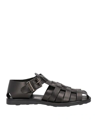 Shop Baldinini Man Sandals Black Size 9 Cowhide