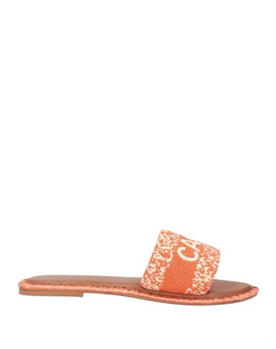 Shop De Siena Woman Sandals Orange Size 6 Textile Fibers