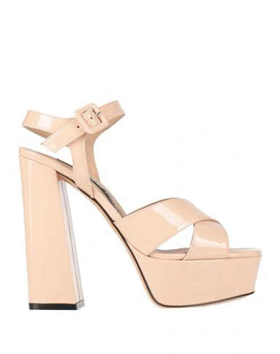 Shop Sergio Rossi Woman Sandals Blush Size 8 Soft Leather In Pink