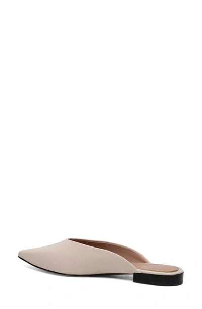 Linea Paolo Ayla Pointy Toe Mule In Pale Pink