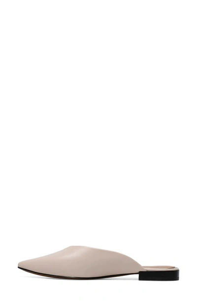 Linea Paolo Ayla Pointy Toe Mule In Pale Pink