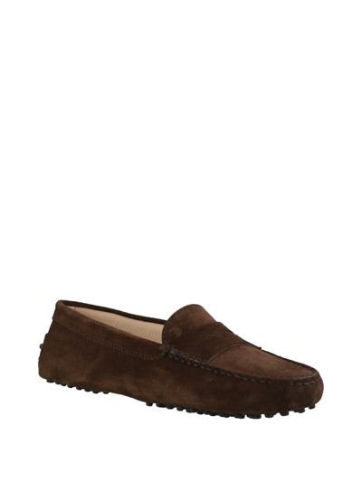 Shop Tod's Gommini Brown Suede Driving Loafers