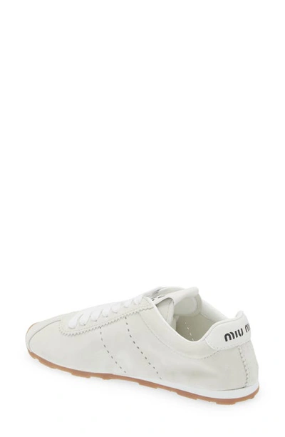 Shop Miu Miu Allacciate Low Top Sneaker In White