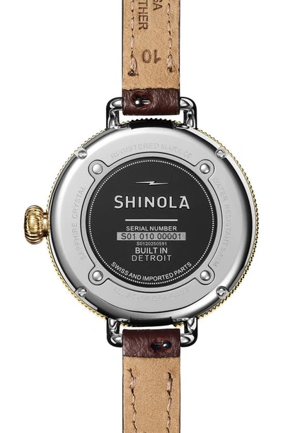 Shop Shinola Birdy Gift Set Double Wrap Leather Strap Watch, 38mm In Ivory