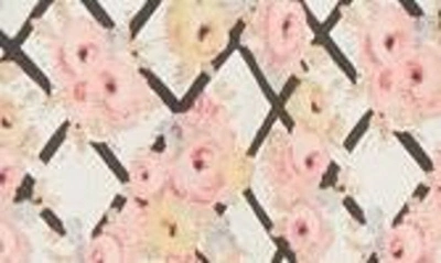 Shop Loretta Caponi Zoe Floral Cotton Midi Shirtdress In Pergola Of Roses