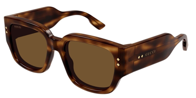 Pre-owned Gucci Original  Sunglasses Gg1261s 002 Havana Frame Brown Gradient Lens 54mm