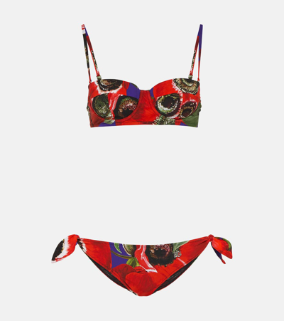 Shop Dolce & Gabbana Balconette Poppy Bikini In Multicoloured