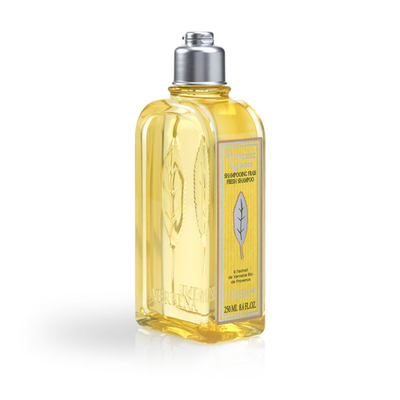 Shop L'occitane - Citrus Verbena Fresh Shampoo 8.4 Fl oz