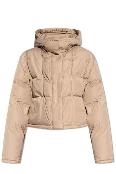 Shop Loewe Hooded Cropped Puffer Jacket In Beige