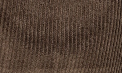 San Diego Hat Cotton Corduroy Fedora In Brown