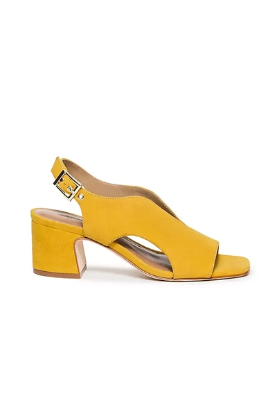 Shop Bernardo Bedford Heels In Yellow