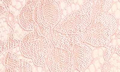Alexia Admor Jessica Peak Lapel Lace Blazer In Blush