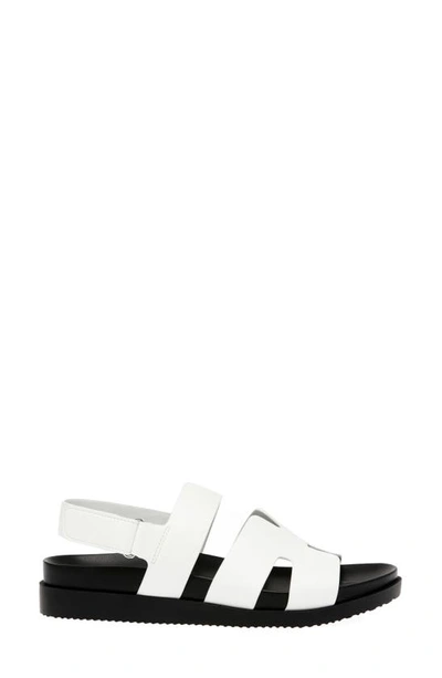 Shop Steven New York Faun Sandal In White