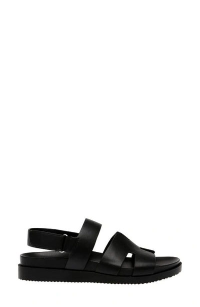 Shop Steven New York Faun Sandal In Black