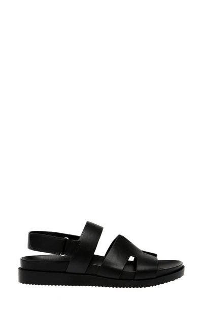 STEVEN NEW YORK STEVEN NEW YORK FAUN SANDAL 