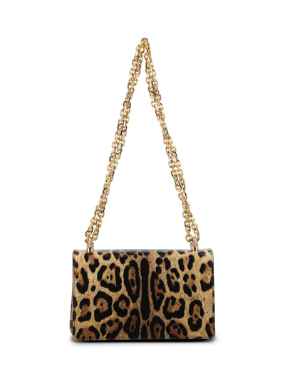 Shop Dolce & Gabbana Handbags In Leopardo