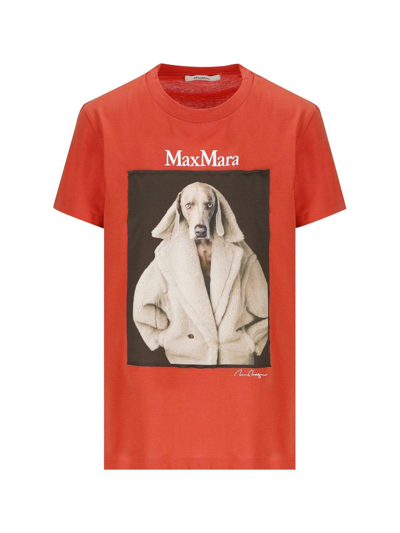 Shop Max Mara Graphic Printed Crewneck T-shirt In Fucsia