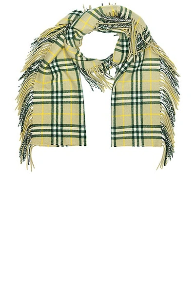 Shop Burberry Vintage Check Scarf In Hunter