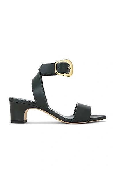 Shop Manolo Blahnik Brutas 50 Leather Sandal In Dark Green