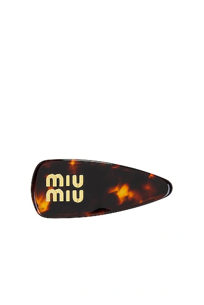 Shop Miu Miu Hair Clip In Oro Tartaruga