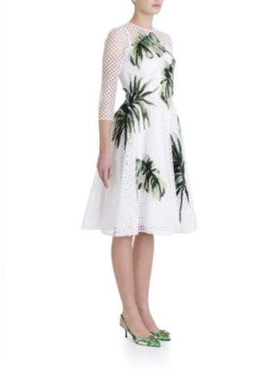Shop Dolce & Gabbana Lattice Tulle Leaf Embroidered Dress In White